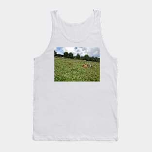 Scottish Highland Cattle Calves 1449 Tank Top